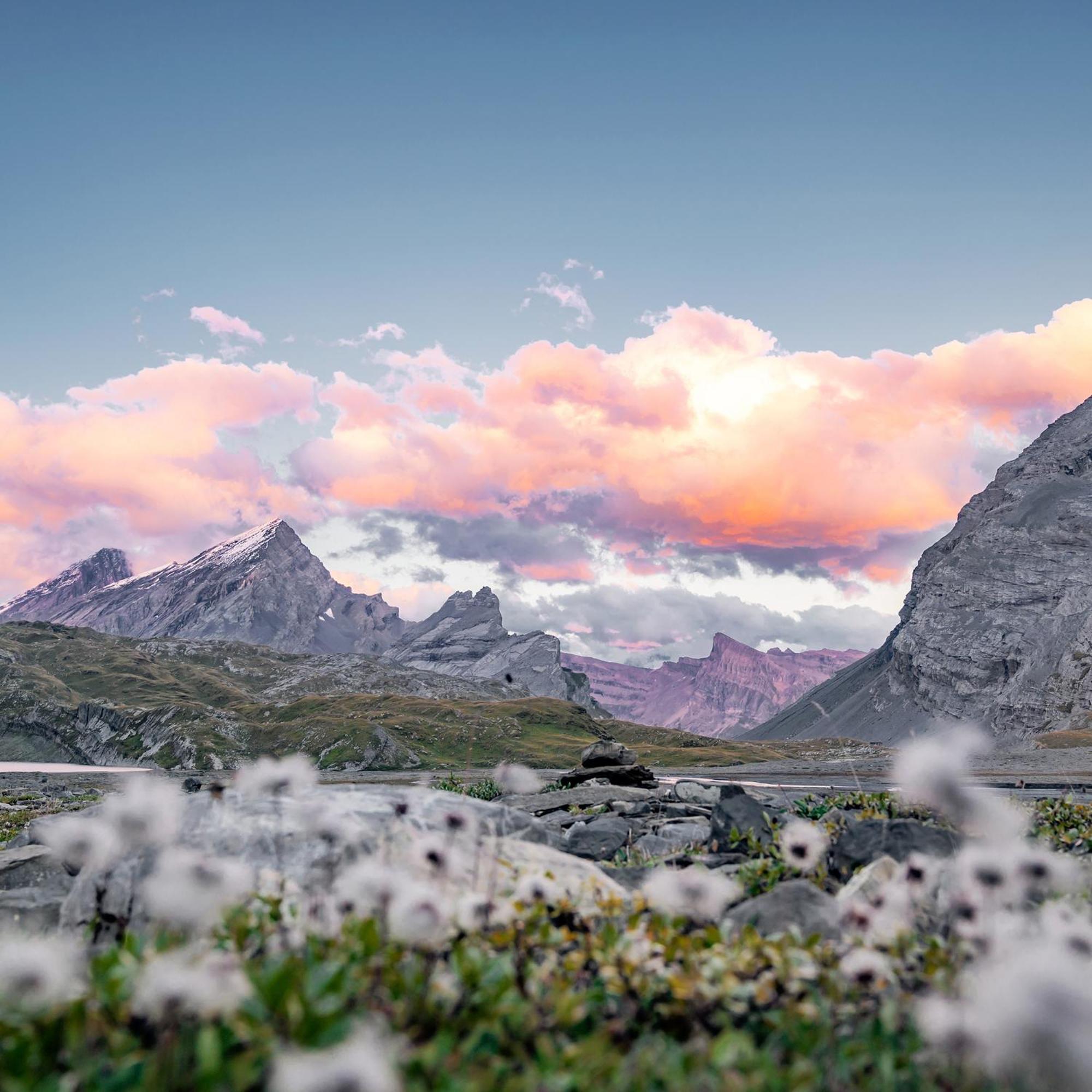 Les Sources Des Alpes Hotel