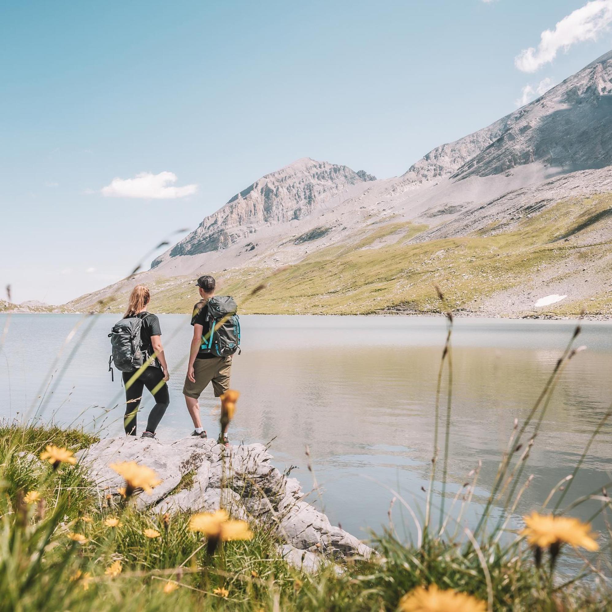होटल Les Sources Des Alpes 4*